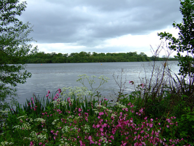 Aldenham Country Park 