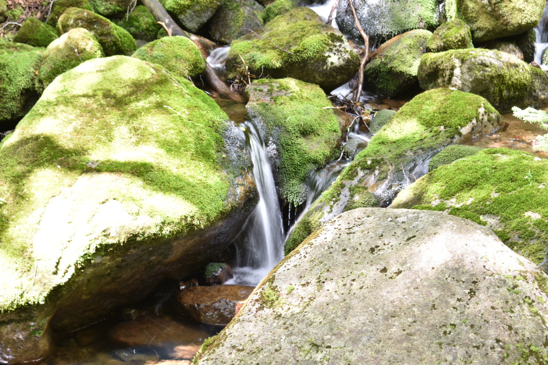 Slide Brook, Adirondacks, NY