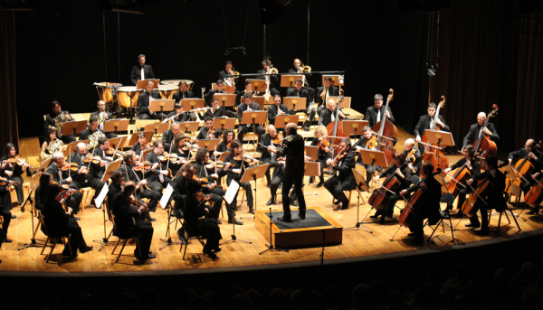 El público, la sala de concierto y la música clásica