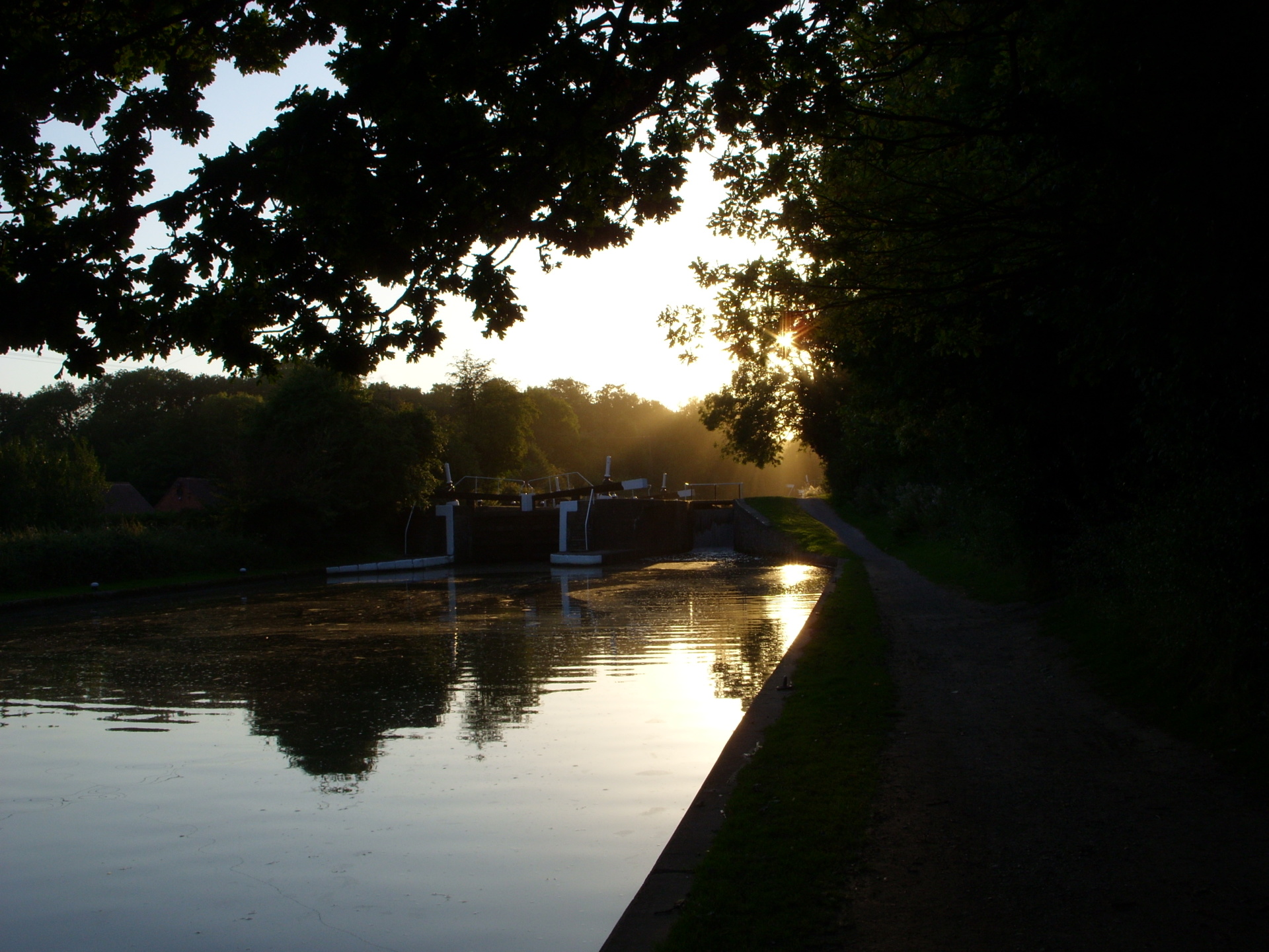 Evening light