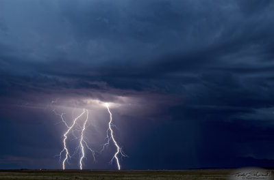 Three separate cloud-to-ground lightning channels are caught illuminated just south of Moriarty, New Mexico on August 9, 2013.