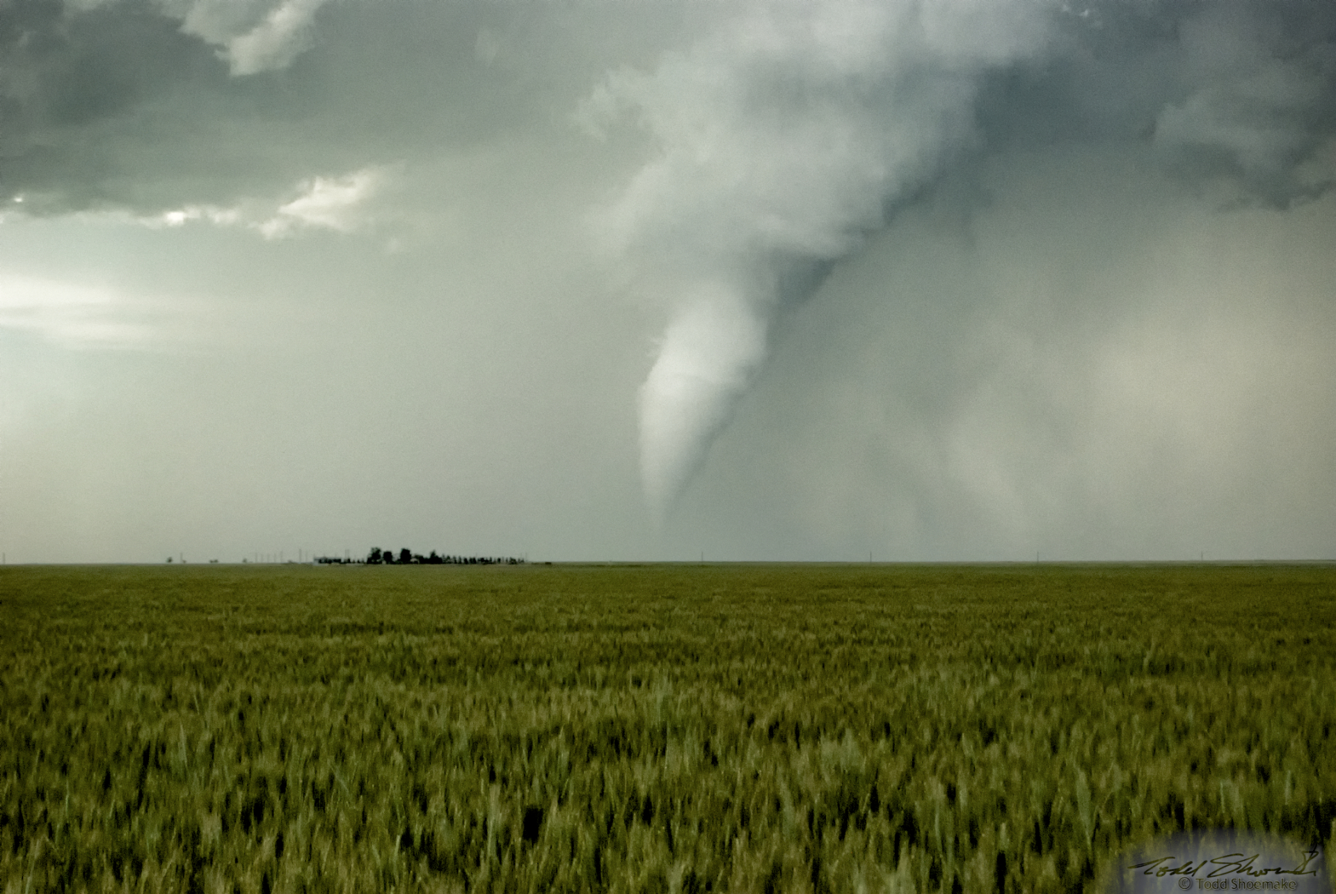 A tornado churns over a wheat field in the Oklahoma panhandle on May 31, 2010.