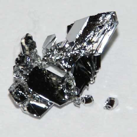 The Key to Live Hundred of Years May be Ruthenium