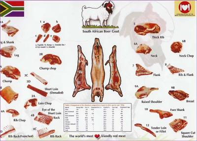 goat meat cuts