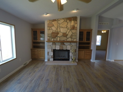 Fireplace and Living Area