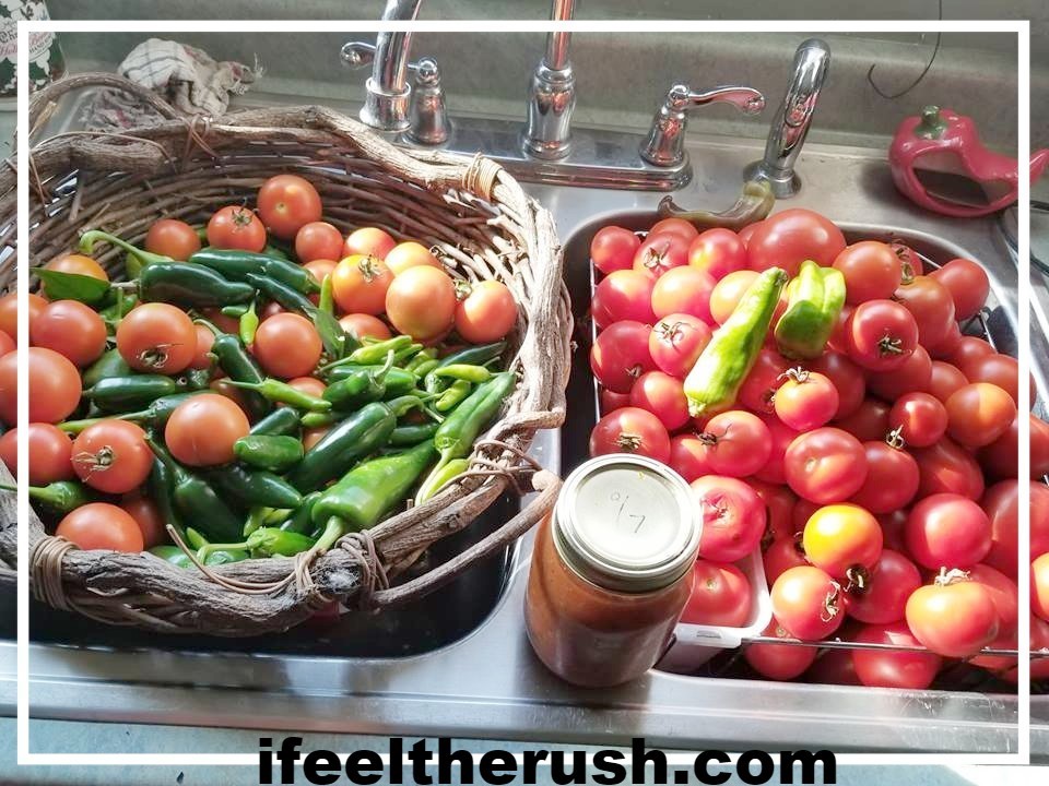 Don T Waste The Last Of Your Tomatoes Easy Recipe Garden Fresh