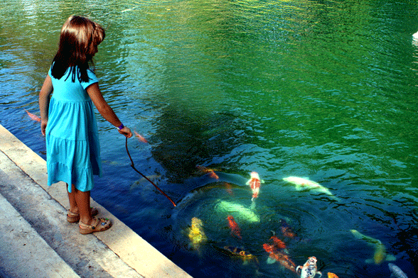 Agua de colores