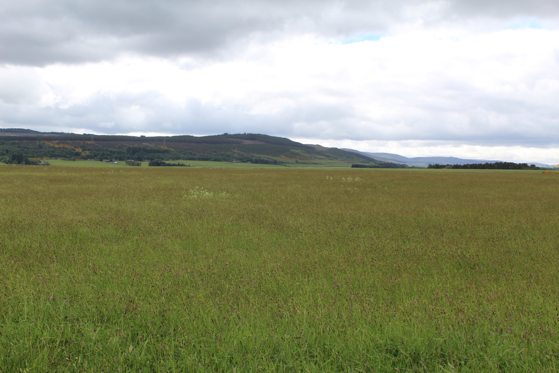 Culloden Battlefield