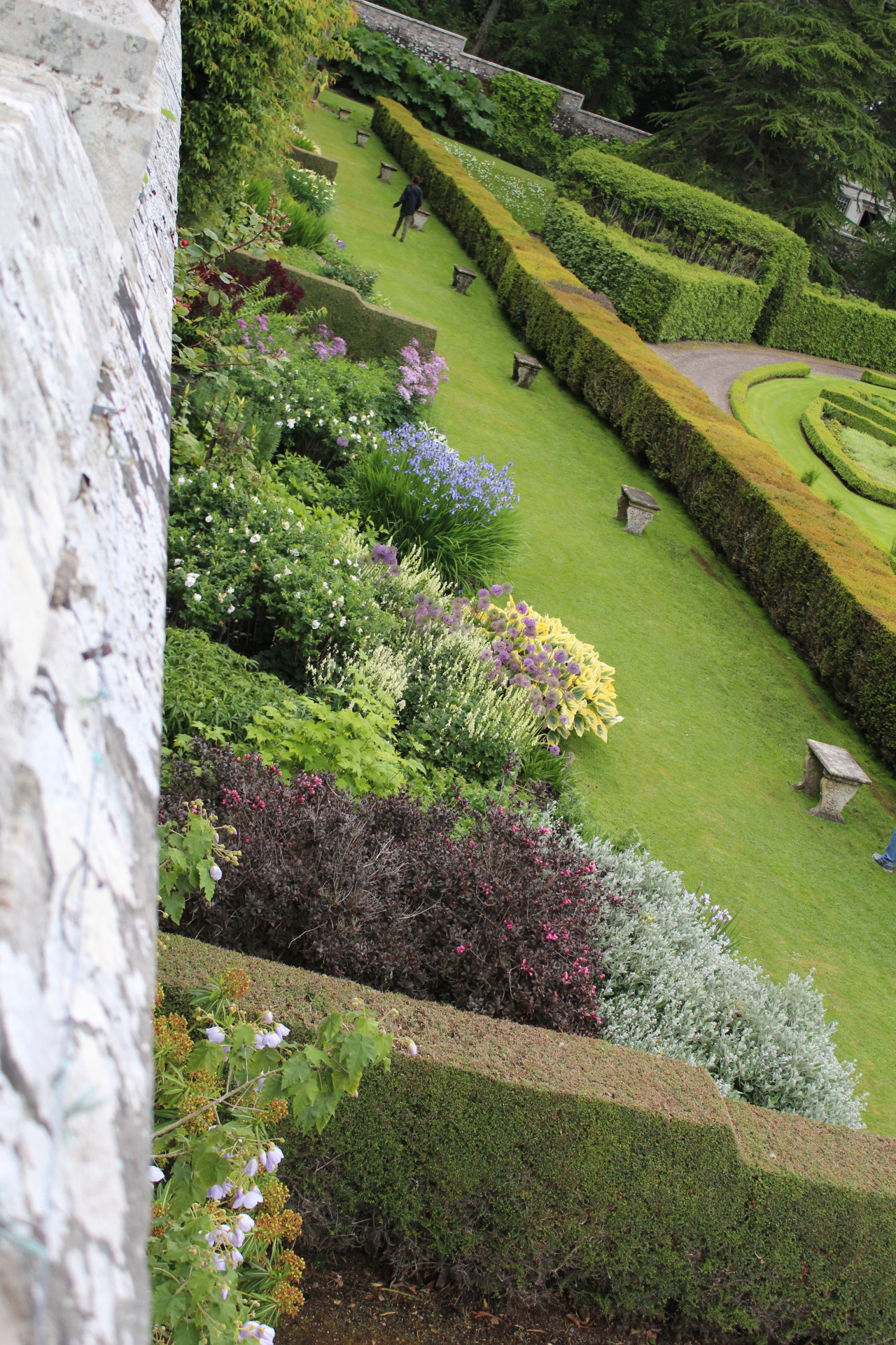 Duchess Border