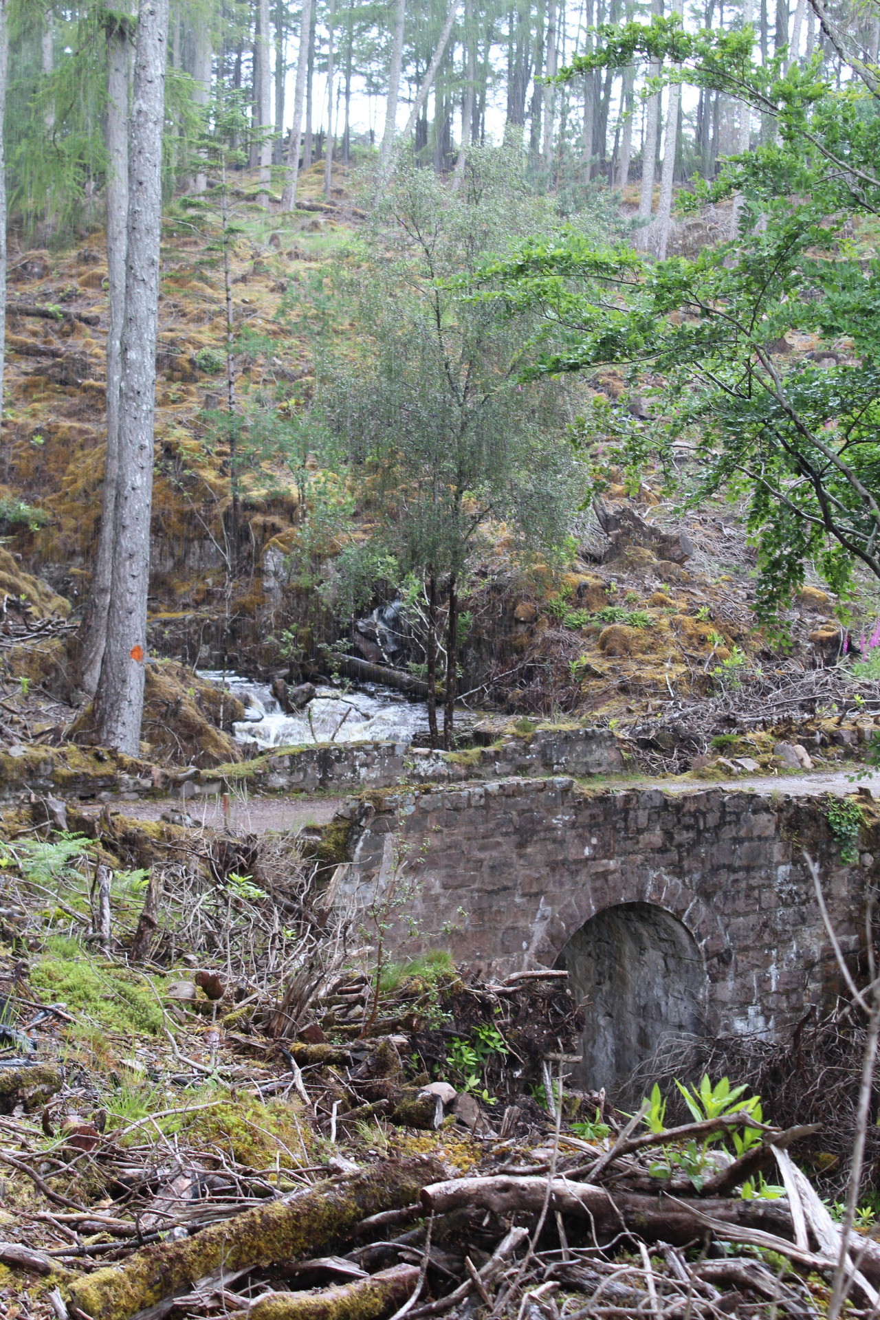 Scottish Culvert from the front