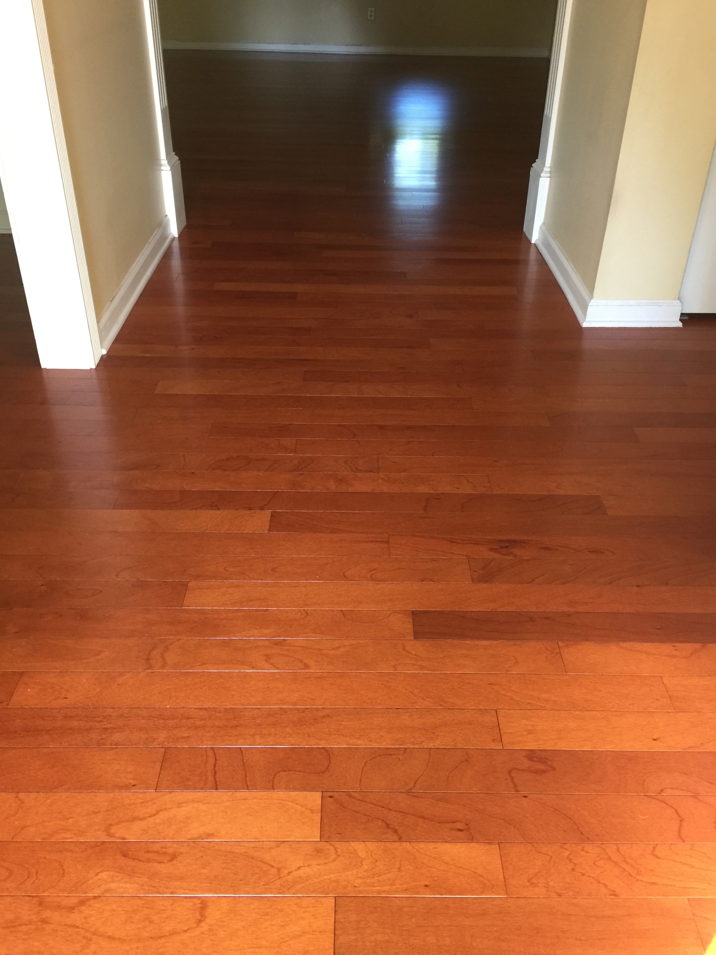 recoated, buffed, cleaned, hardwood, wood floor