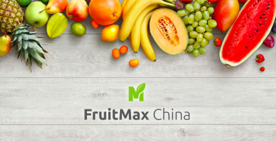 Fruits max. Рамочка из фруктов Минимализм. Овощи фрукты фон футаж.