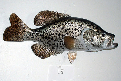Fiberglass Or Plastic Large Mouth Bass Fish Mount 28” Long MAN