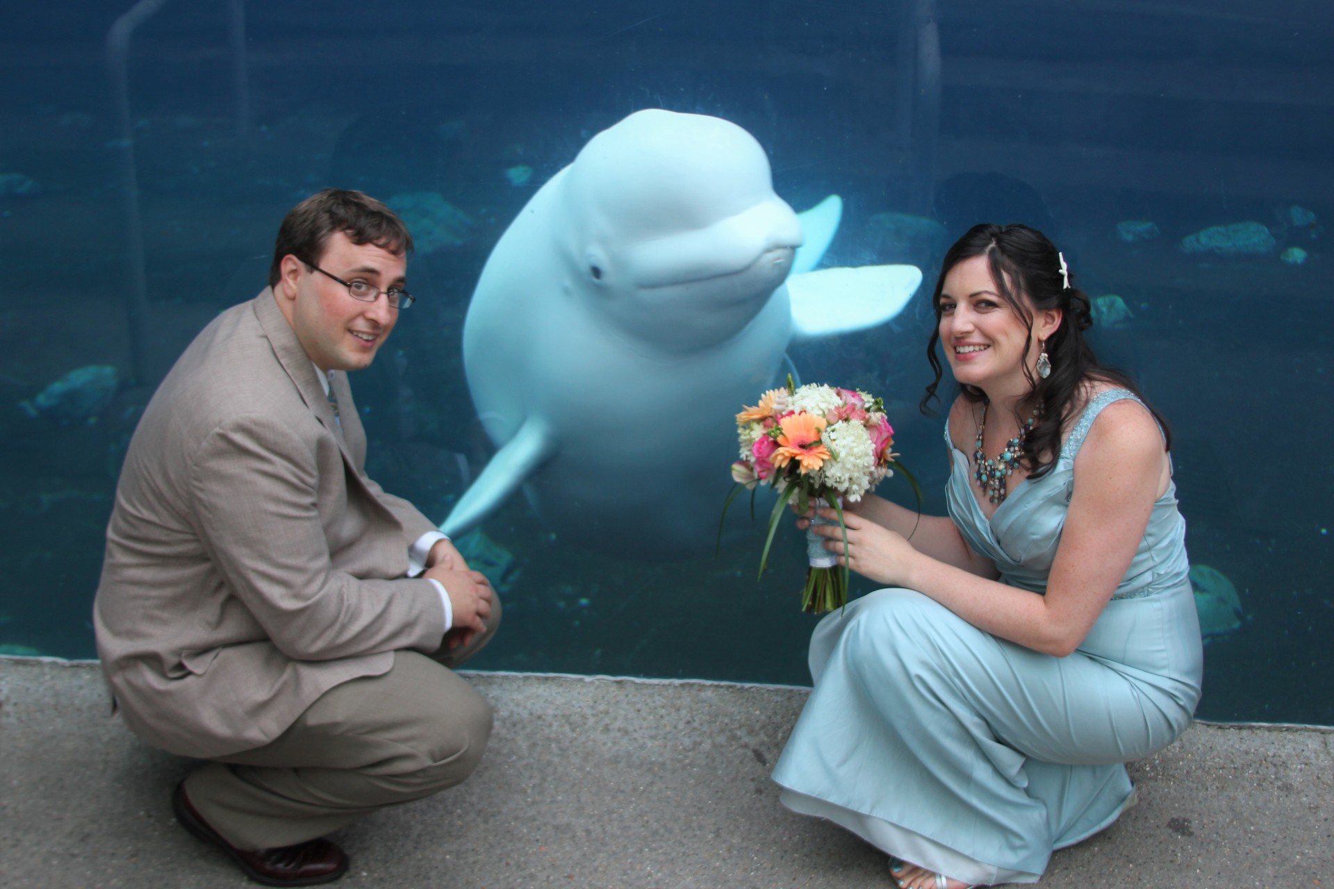 wedding, aquarium, whale