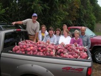 Gleaning