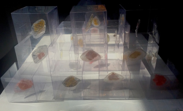 Afterbirths of Afterthoughts: Specimen Cubes