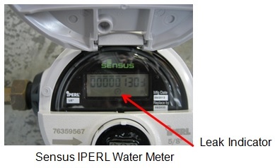 how to read a sensus water meter gallons