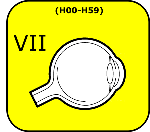 Diseases of the eye and surrounding tissue 