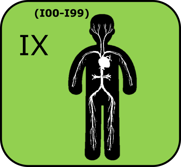 Diseases of the circulatory system