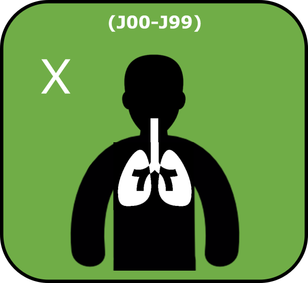 Diseases of the respiratory system