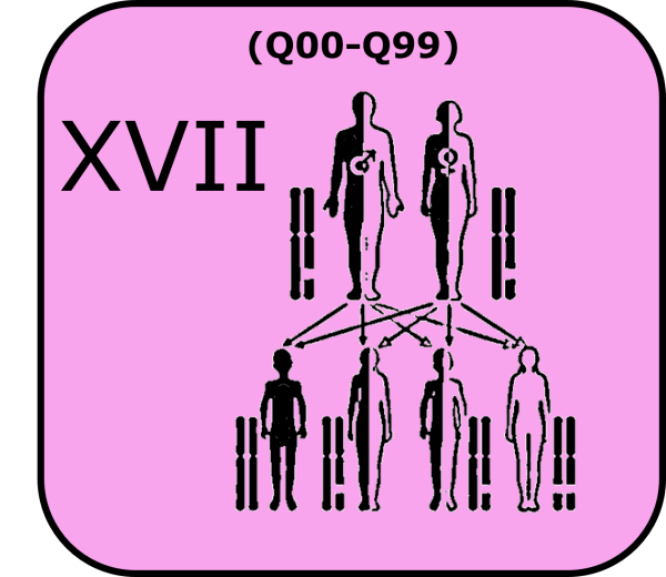 Congenital malformations, deformations and chromosomal abnormalities