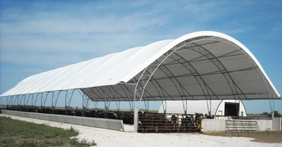 Fabric covered metal frame cattle building