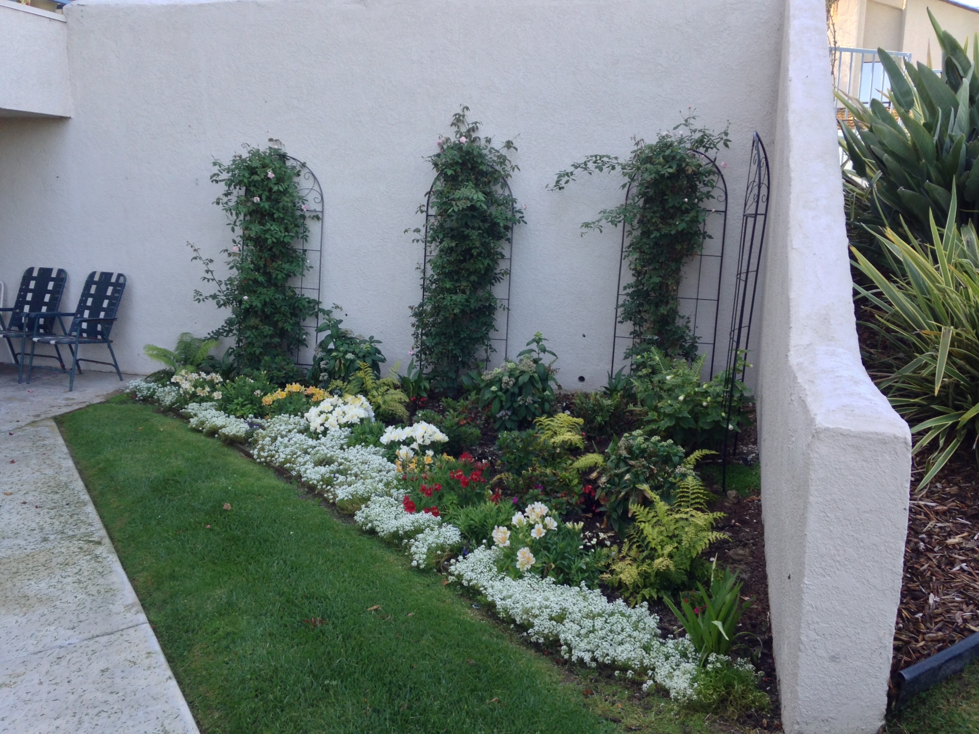 Homeowners Patio