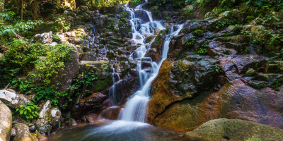 Jungle Trekking & Waterfall