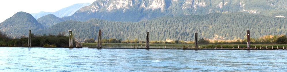 Harrison River