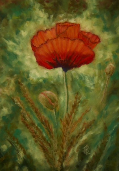 Radiant Poppy - 15 x 19 inches, framed