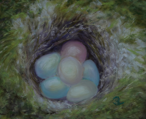 Spring Nest - 19 x 15  inches, framed