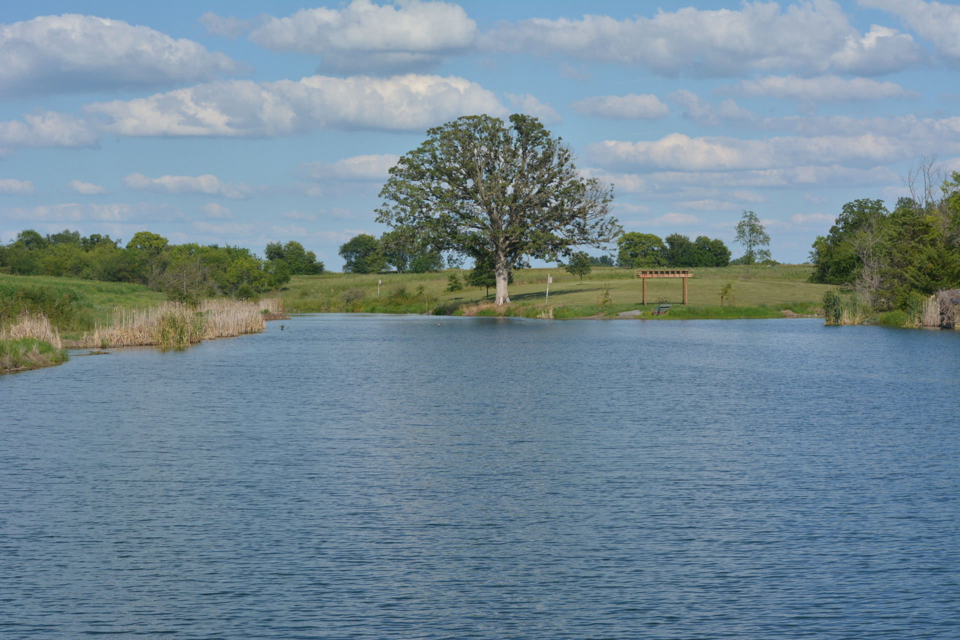 Hummingbird Lake