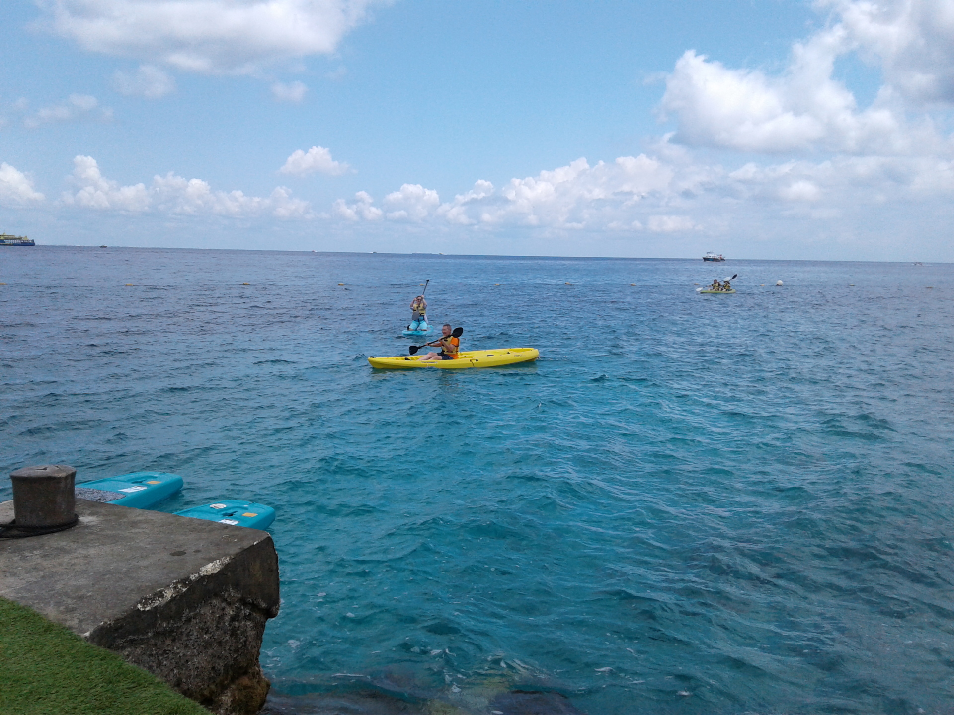 Dolphinaris Cozumel Review….should I swim with a Dolphin? – The Quiet  Cruiser