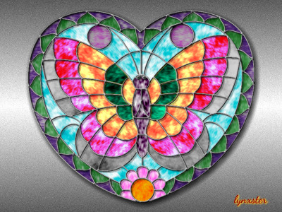 Vibrant Butterfly