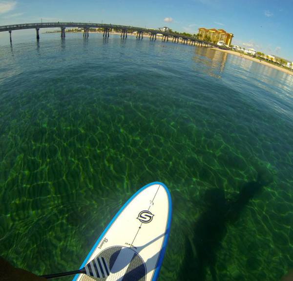 Stand Up Paddle Boarding South Florida