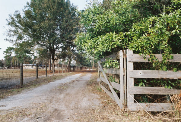 Country Path