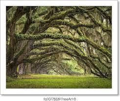 Charleston, South Carolina 