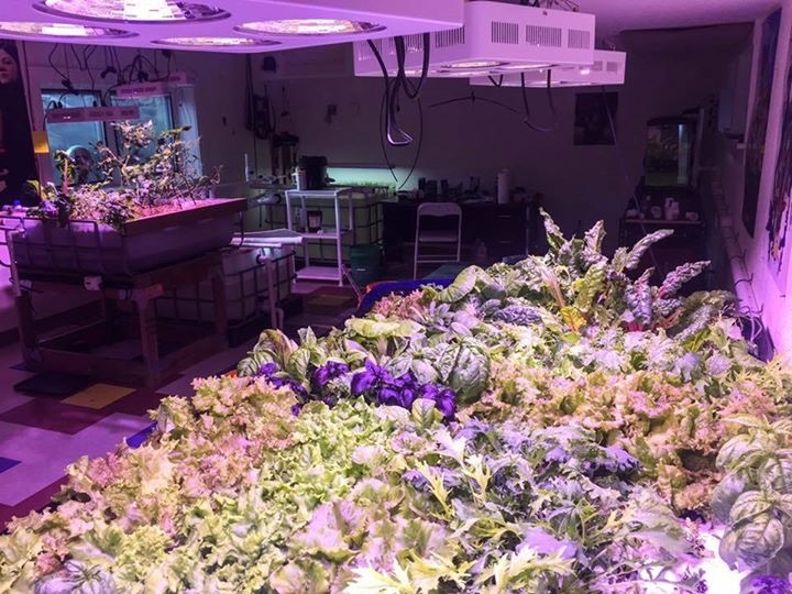 Aquaponic Grow Lab