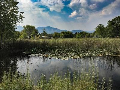 Weaver Pond