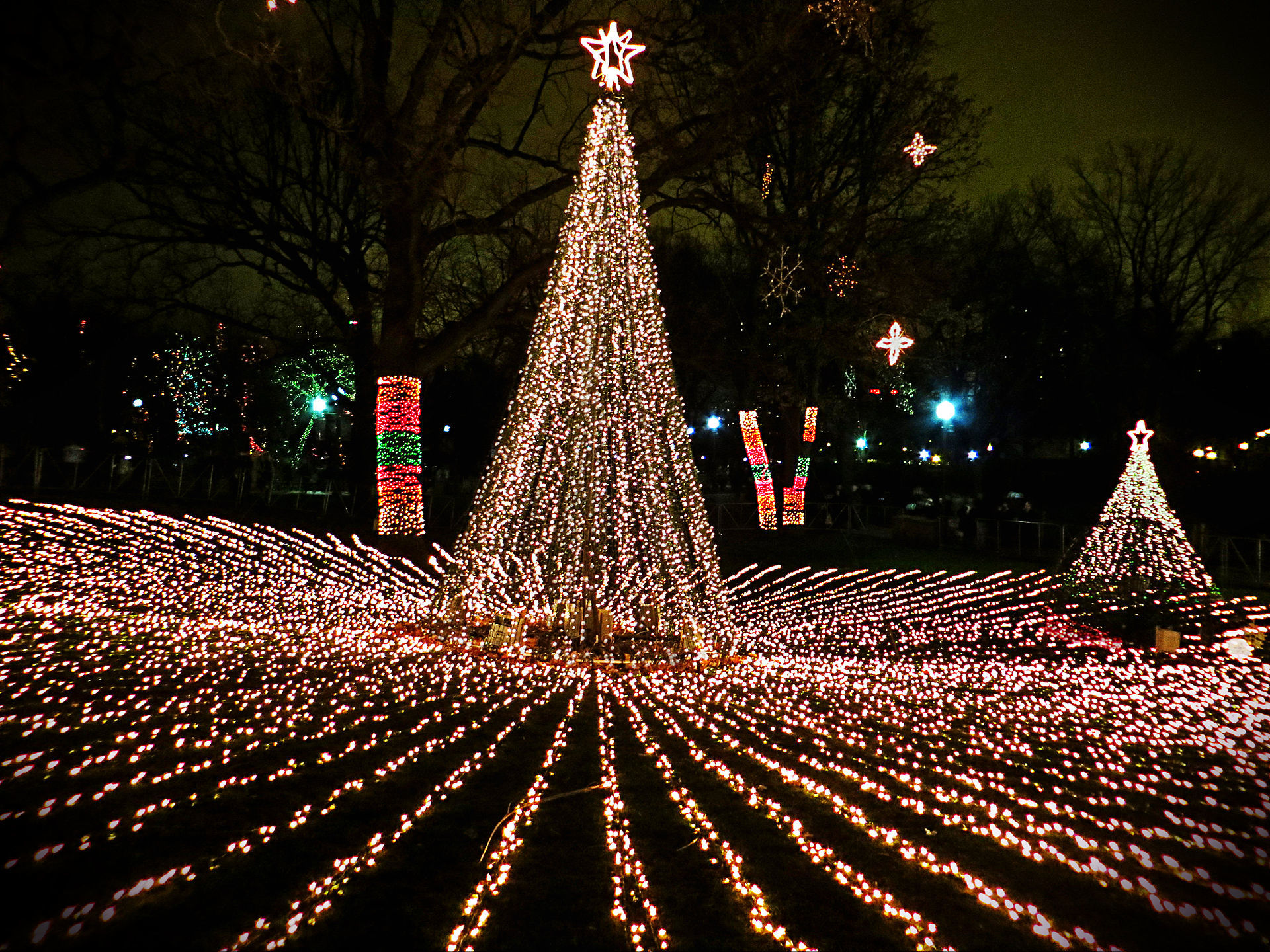 zooLights-1