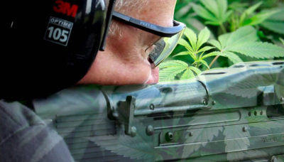 Of Marijuana, Machine Guns and the Rule of Law...