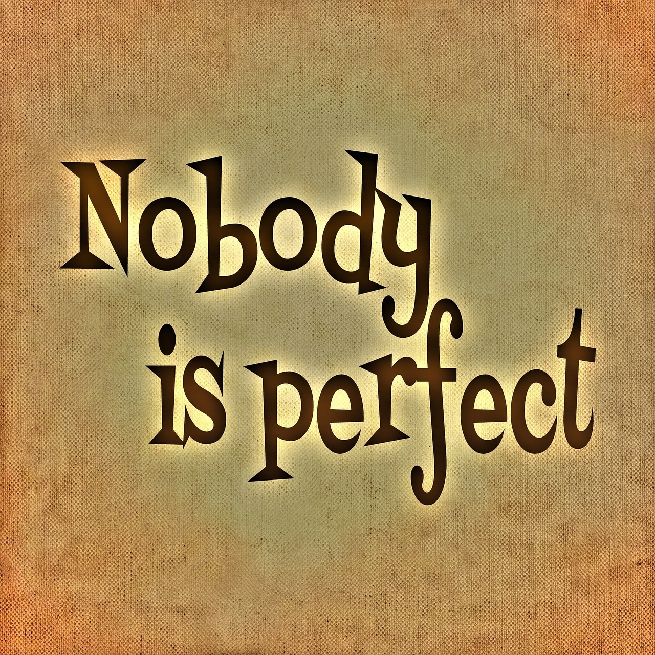 nobody-is-perfect