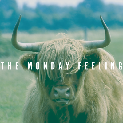The Monday Feeling - An Album Review