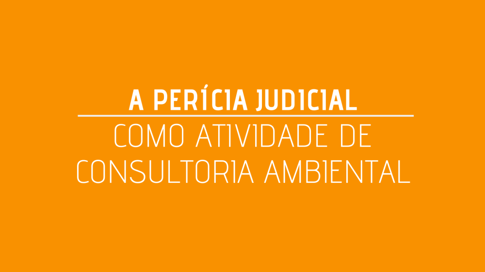 A PERÍCIA COMO ATIVIDADE DE CONSULTORIA AMBIENTAL