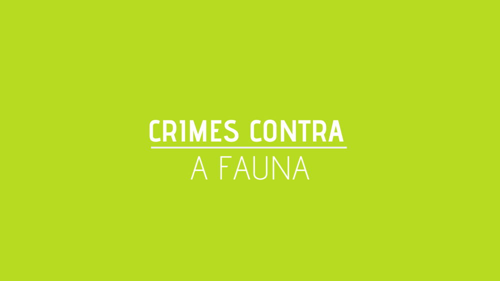 CRIMES CONTRA A FAUNA