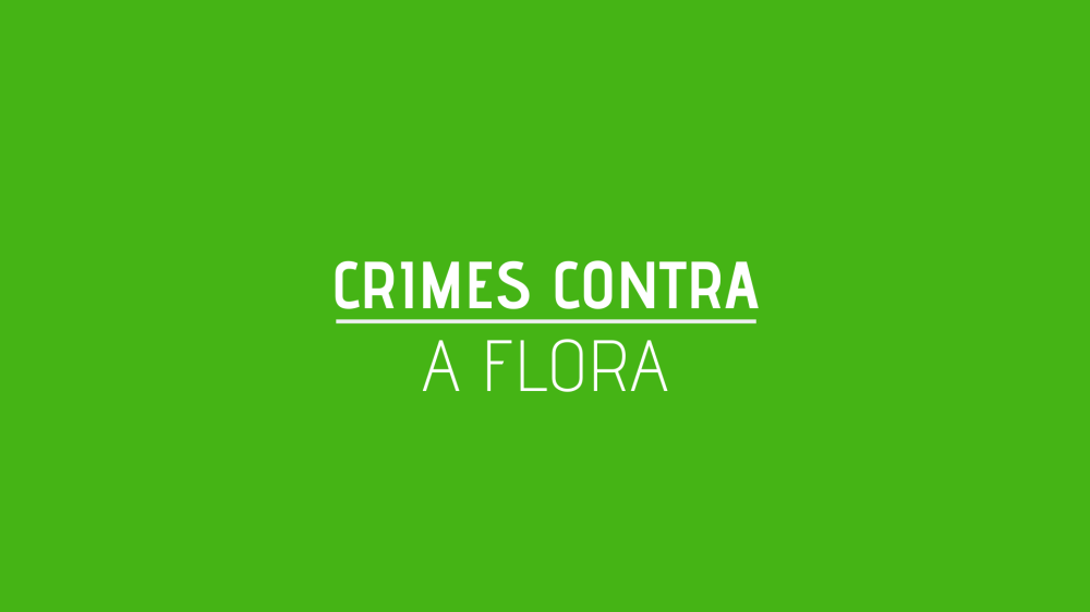 CRIMES CONTRA A FLORA