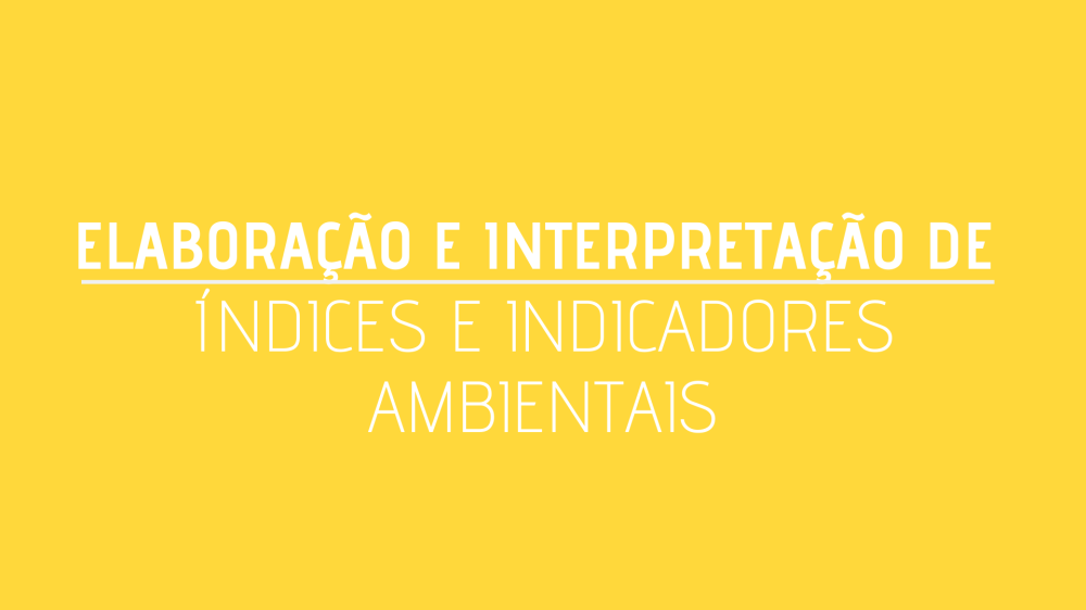 ELABORAÇÃO E INTERPRETAÇÃO DE ÍNDICES E INDICADORES AMBIENTAIS