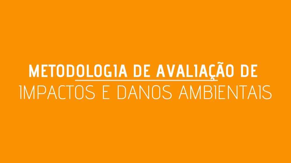AVALIAÇÃO DE IMPACTOS E DANOS AMBIENTAIS