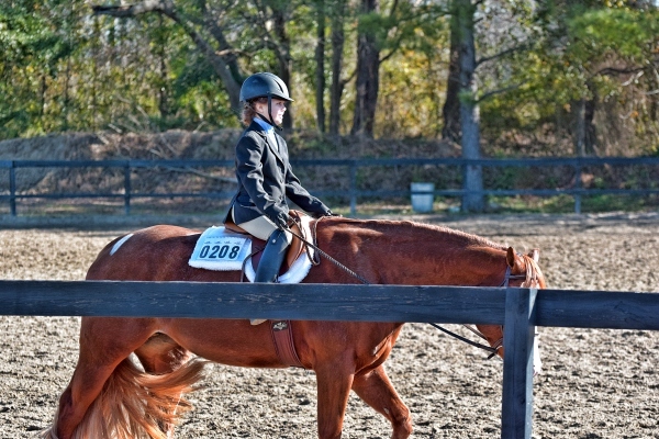 Home [hanoverstables.net]