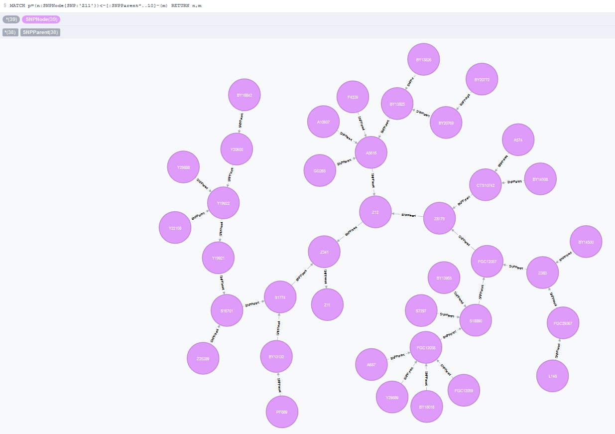 Y-DNA Haplogroups: Navigation using graph database methods